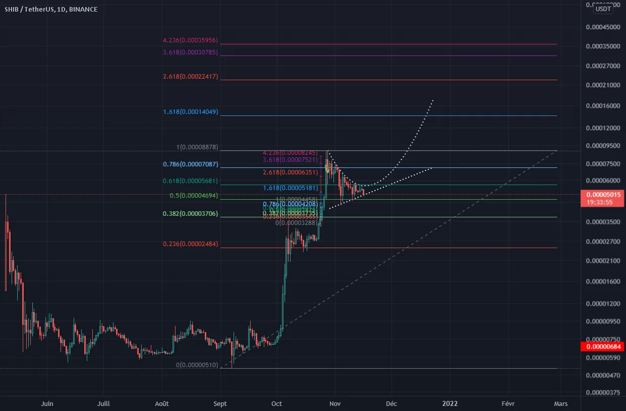 SHIB/USDT : Comportement atypique d'un quitte ou triple !! pour BINANCE:SHIBUSDT par Bazard