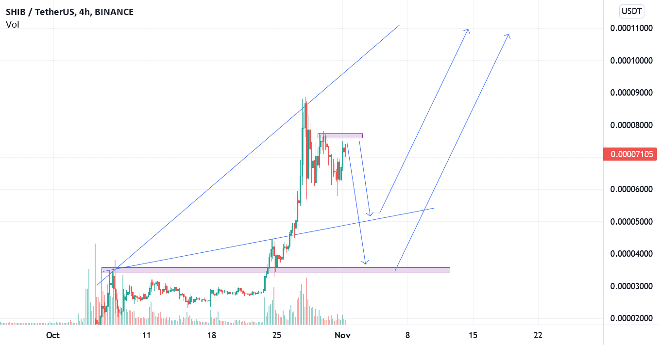 SHIBA INU 2 POSSIBILITES pour BINANCE:SHIBUSDT par GREENTRADINGFOREXETCRYPTO