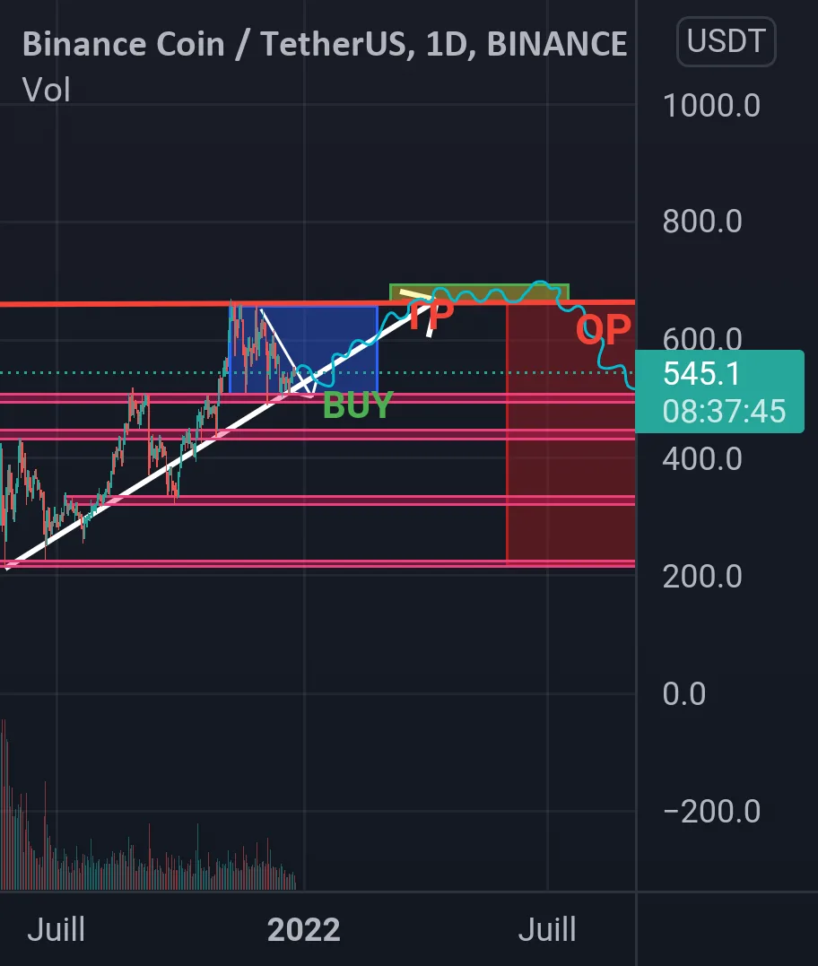 BNB début 2022 pour BINANCE:BNBUSDT par DoliPr4ne