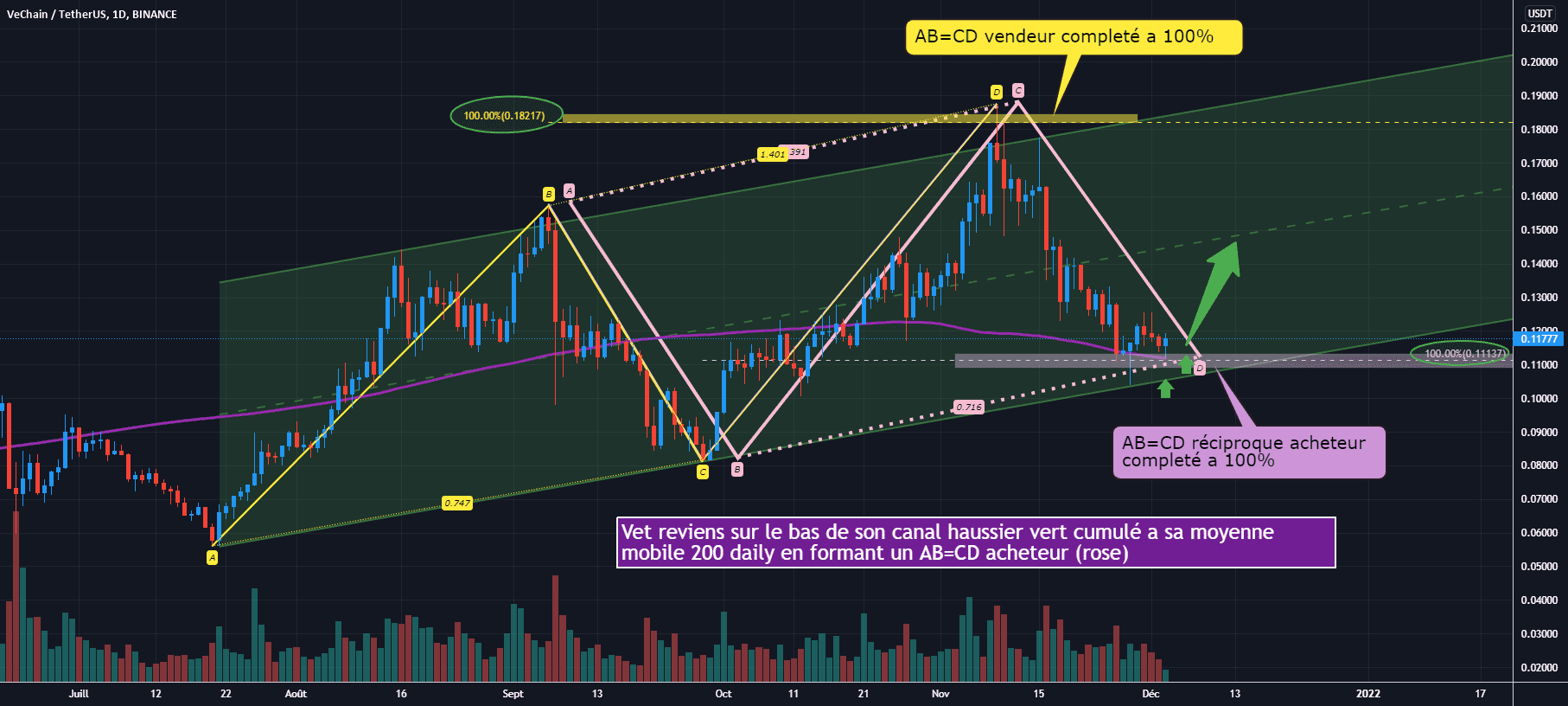 VET/USDT D1 : A testé un fort support, vers un rebond durable ? pour BINANCE:VETUSDT par Antoine-Diabolo