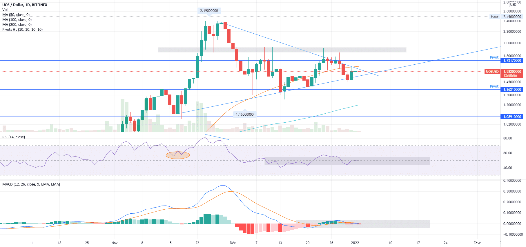 UOS analyse 02/01/22 pour BITFINEX:UOSUSD par V2V45AMG