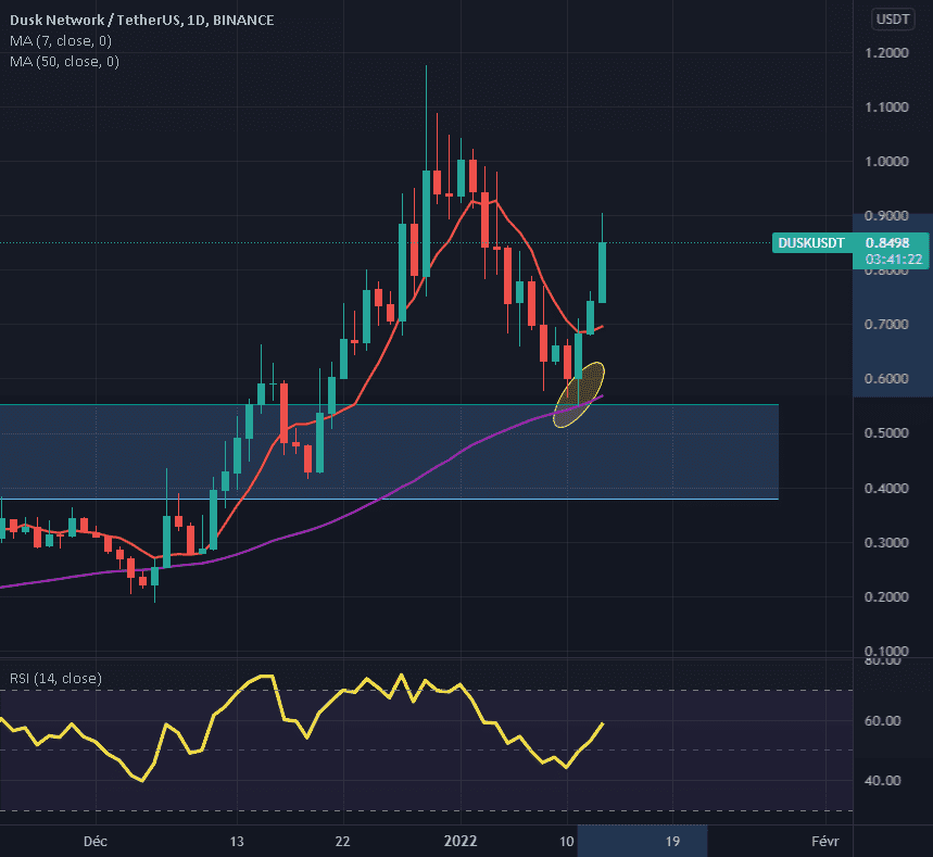 DUSK réaction sur sa MM50 journalière pour BINANCE:DUSKUSDT par yassrifi