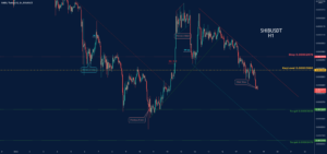 SHIBUSDT-SHORT pour BINANCE:SHIBUSDT par NamchaTa