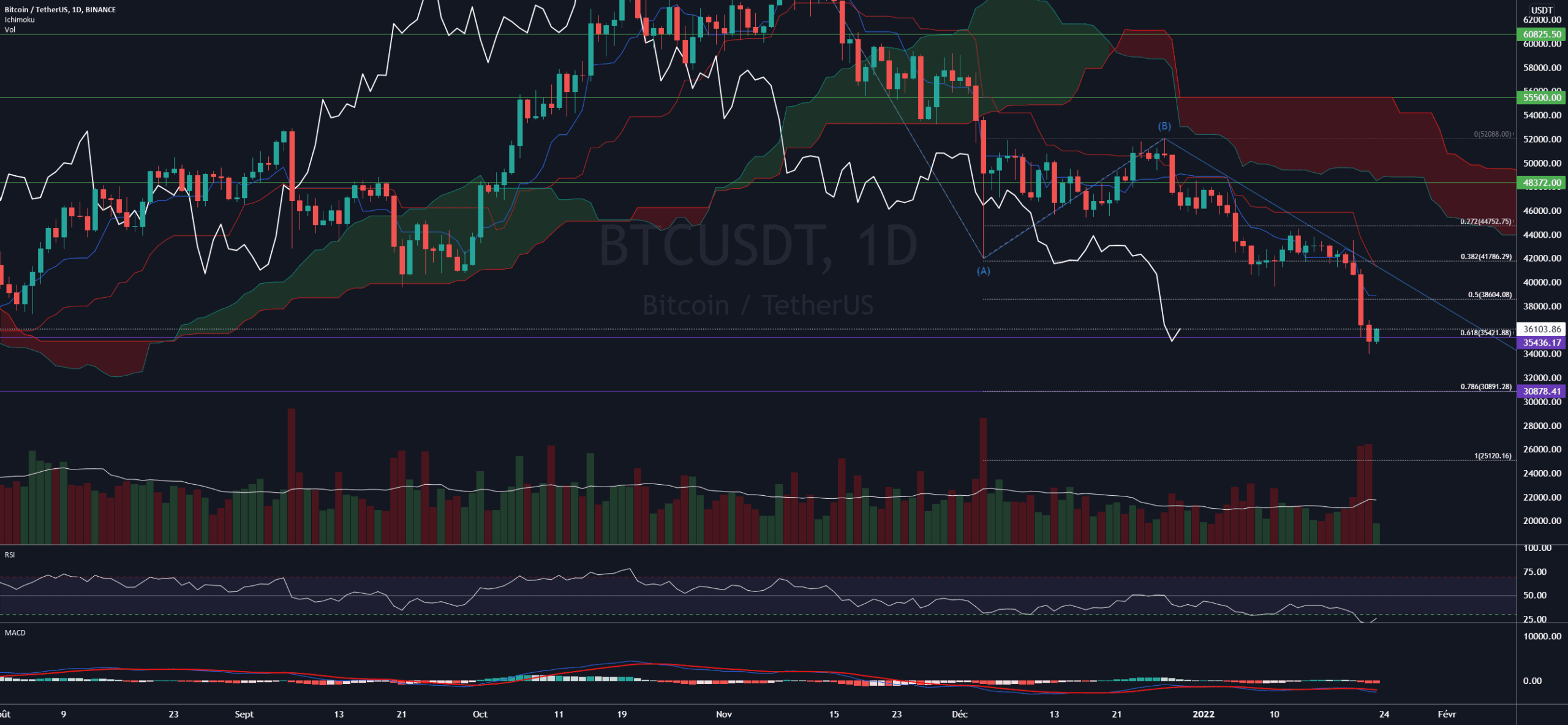 Niveau journalier BTC pour BINANCE:BTCUSDT par DL_INVEST