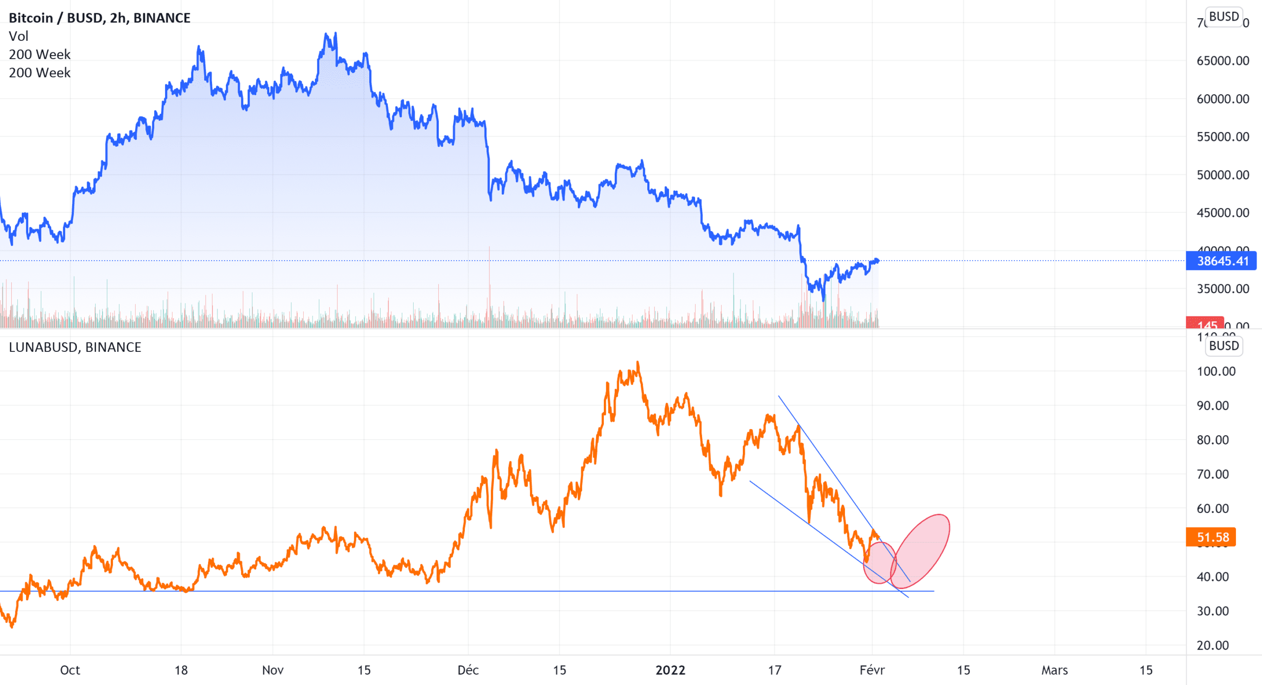 Luna dans une phase d'investissement? pour BINANCE:BTCBUSD par Loy-crypto