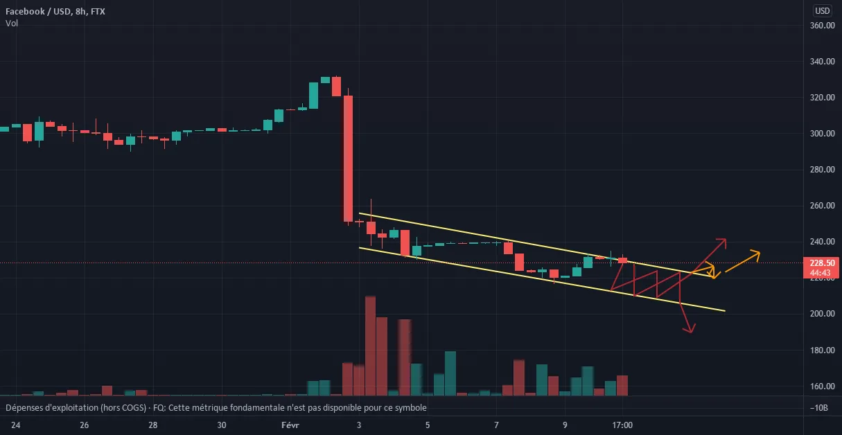 Facebook in a near future pour FTX:FBUSD par nicotsessilede