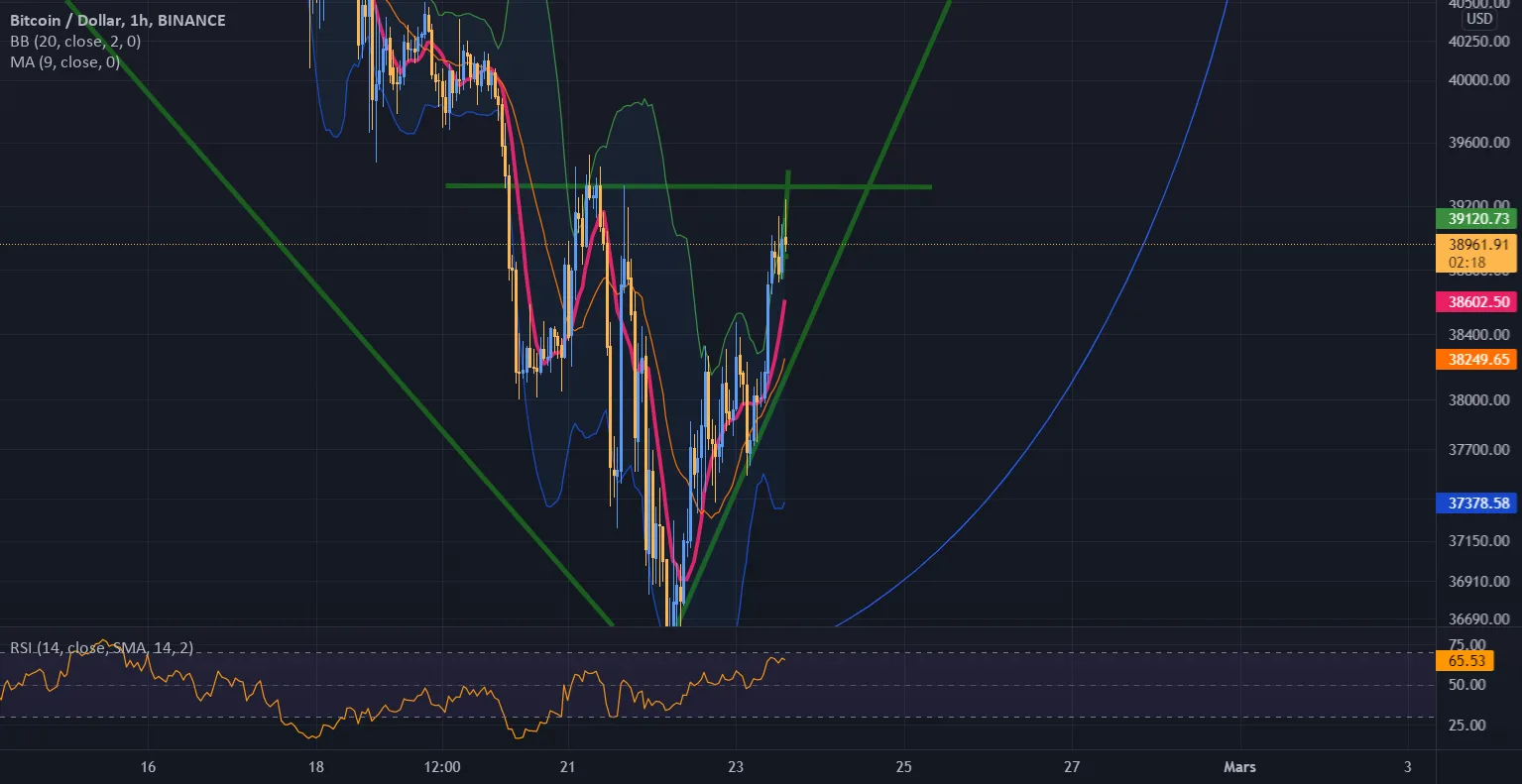 bull et surévaluation? pour BINANCE:BTCUSD par tradelambdath