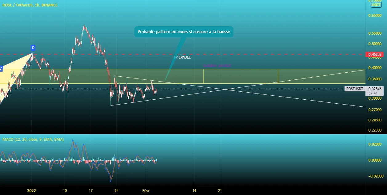 ROSEUSDT Binance H1 pour BINANCE:ROSEUSDT par IronMars_