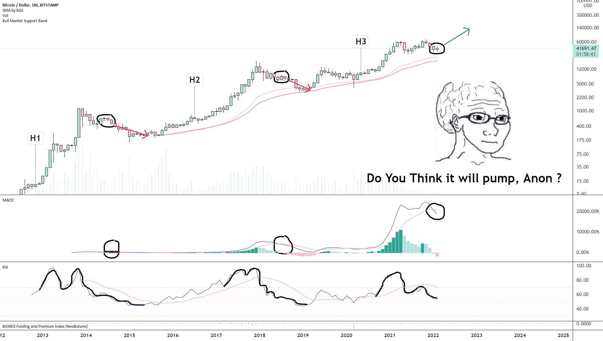 BTC/USD (Monthly) pour BITSTAMP:BTCUSD par Damo5444