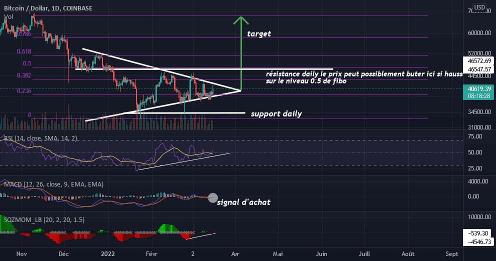 Un avenir prometteur ou pas pour le BTC ? pour COINBASE:BTCUSD par ashot642006