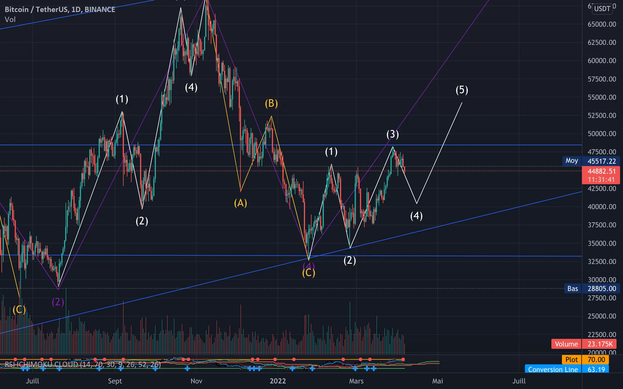 Elliott's BTC Analysis pour BINANCE:BTCUSDT par CGBzh1